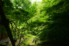 230528a実相院13