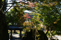 221028c興聖寺36