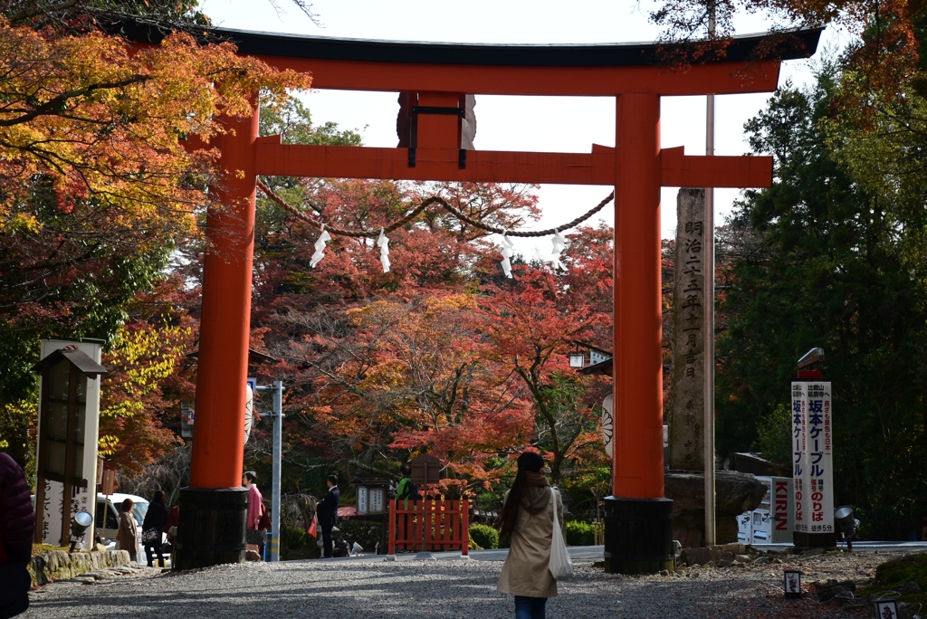 171117b日吉大社38