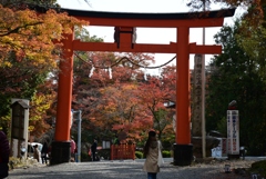 171117b日吉大社38