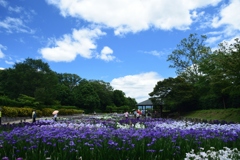 180613馬見丘陵32+