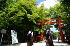 230819b下鴨神社60