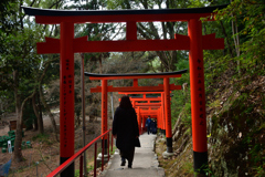 260102上賀茂神社17