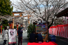 250331c平野神社15