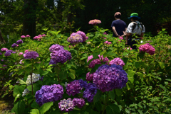 190622旧三井家別邸11