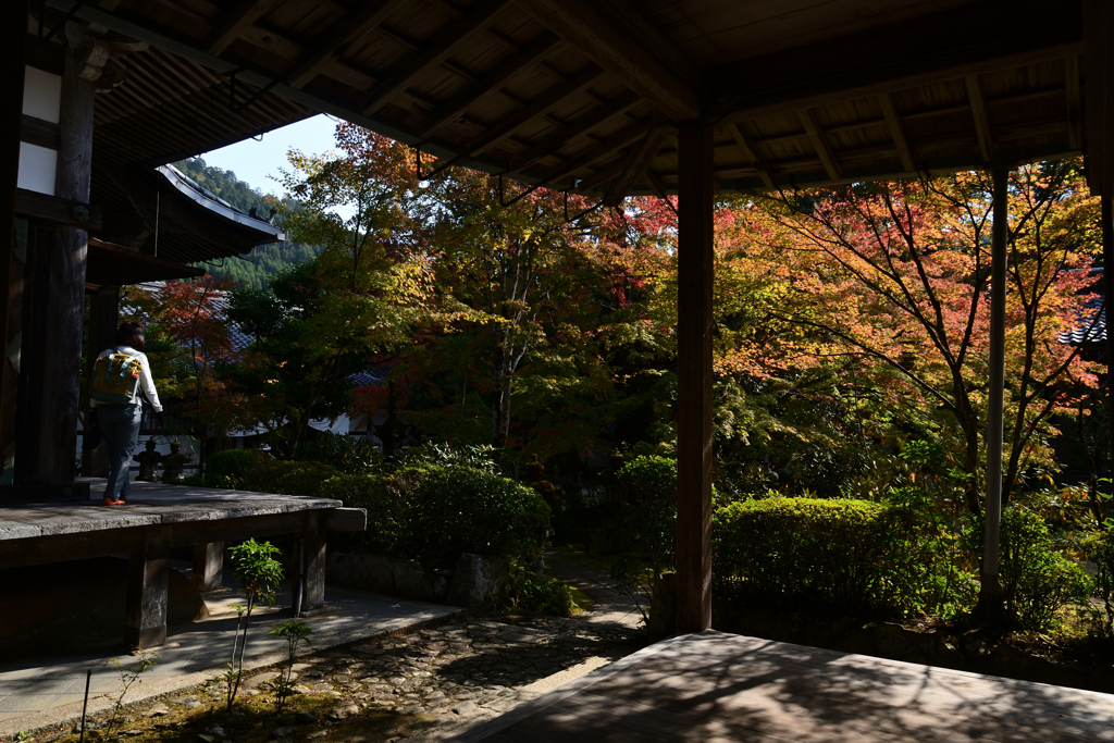 231102c西明寺37