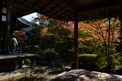 231102c西明寺37