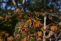 220226万博公園35