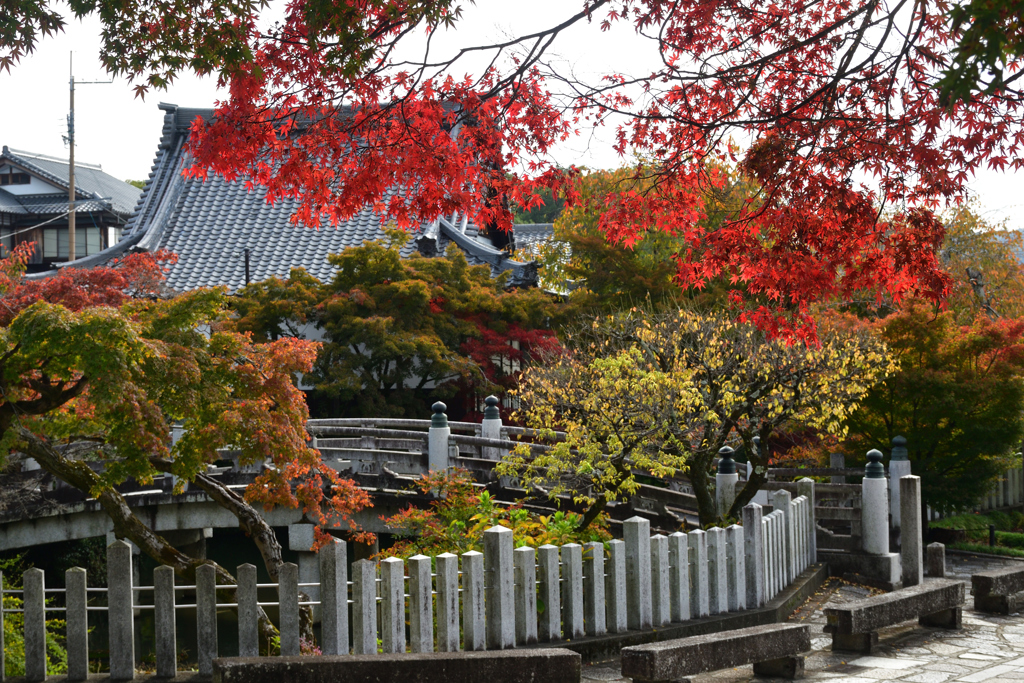 251111a金戒光明寺03