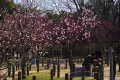 190226a馬見丘陵公園47