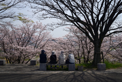 220407木津川堤17