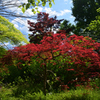 220503d京都植物園26