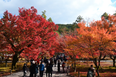 231130a南禅寺15