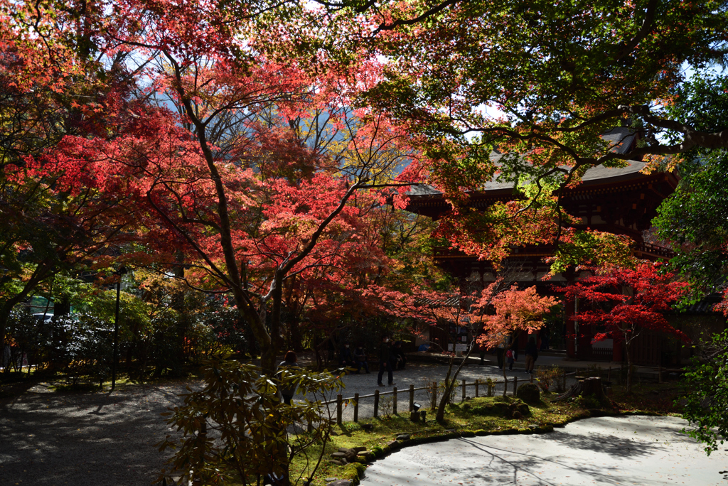 201115a室生寺61