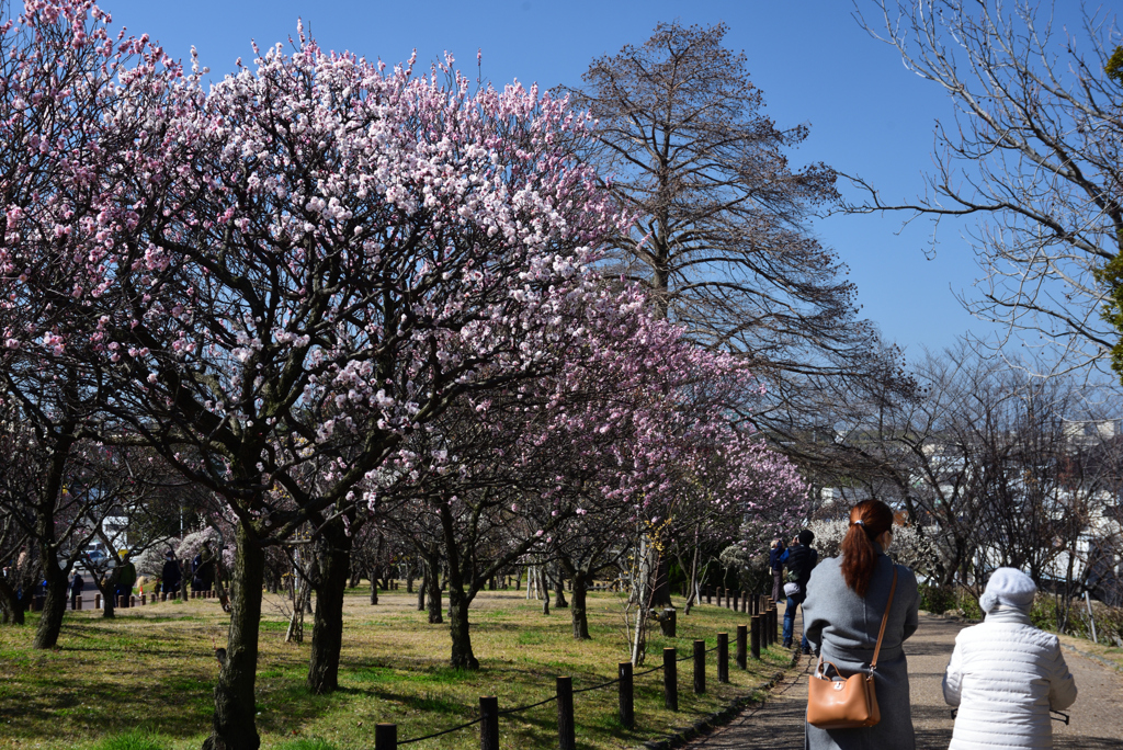 200221荒山公園23