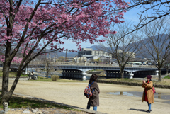 190318c賀茂大橋37
