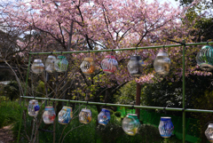 240322c恵心院39