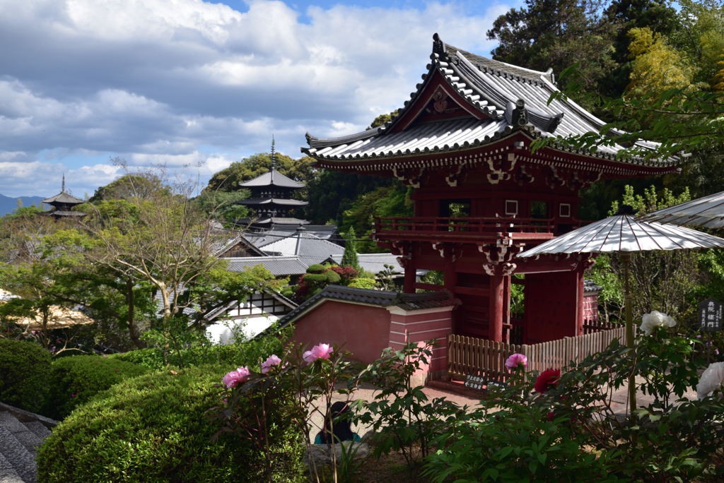 190427c當麻寺奥院09
