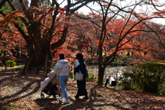 251207a京都植物園35