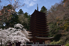 190412a談山神社19