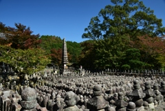 171027c化野念仏寺43