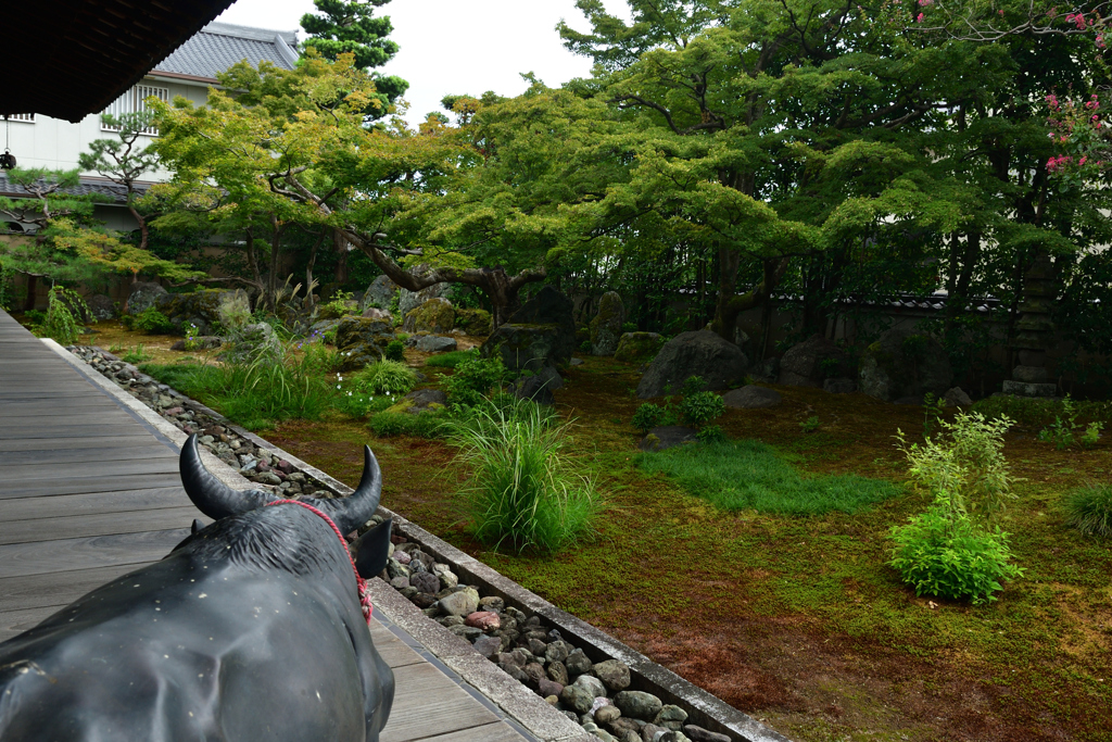 250924bだるま寺29