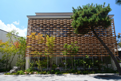240805e出雲大社36