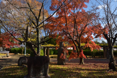 191215a京都博物館20