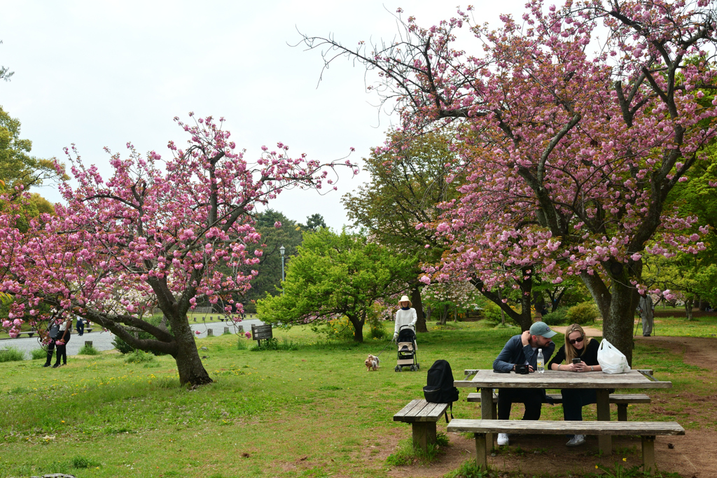 250418a京都御苑27