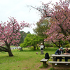 250418a京都御苑27
