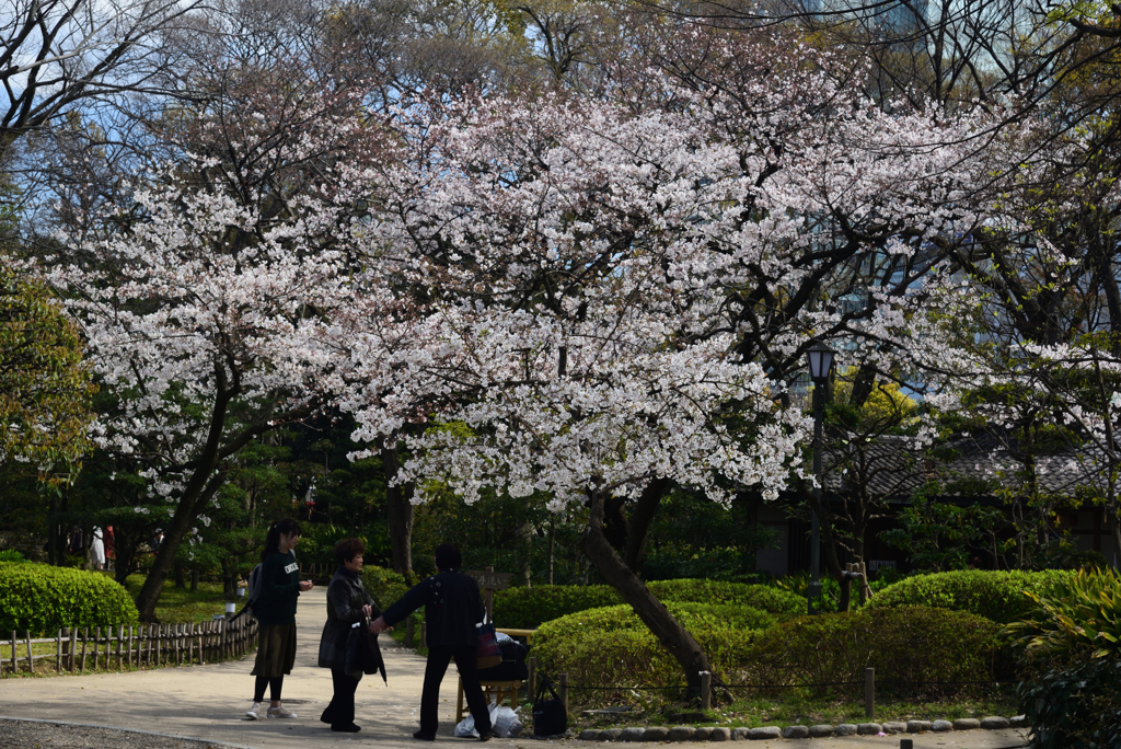 190405a天王寺公園40