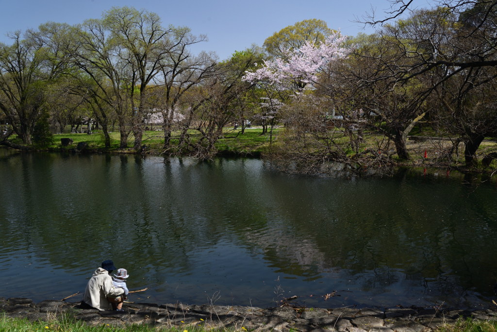 210331a山田池公園23