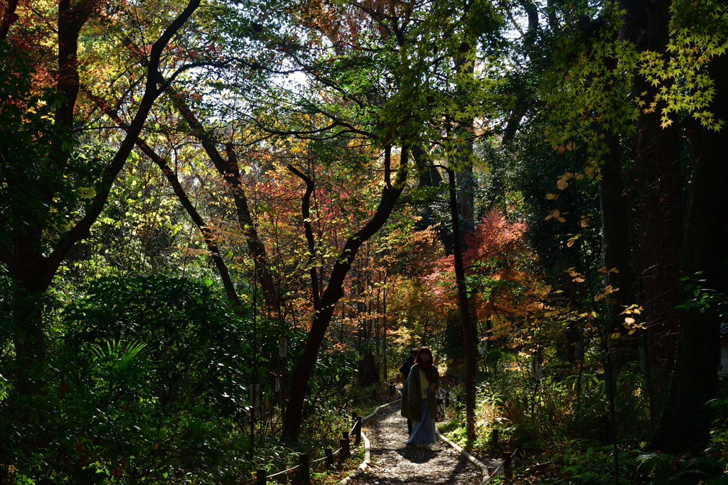 251207b下鴨神社12