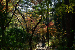 251207b下鴨神社12