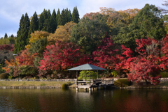 241129d三景園03