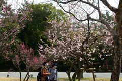 250325a京都御苑20