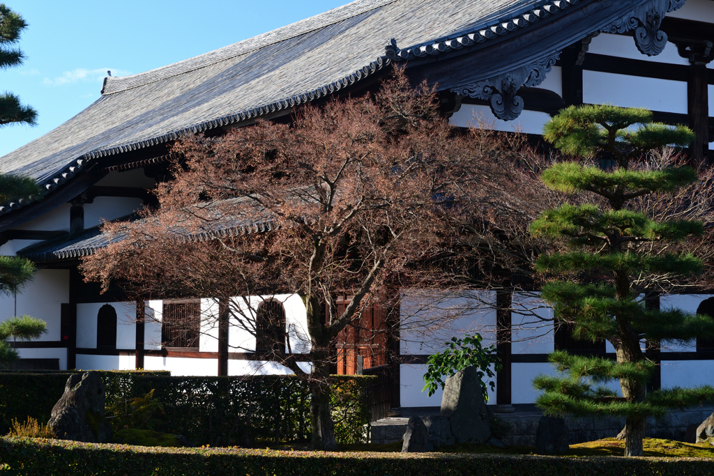240108a東福寺14