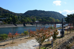 221028b宇治川15
