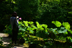 240707a法金剛院18