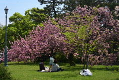 220416d京都御苑40