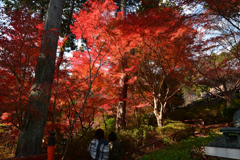 231123a石山寺39