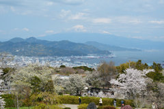 250405a日本平20