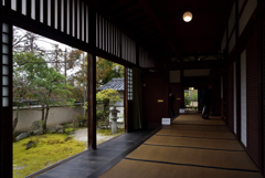 190214a妙心寺天球院06