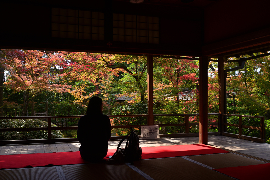 221116b妙心寺大法院23