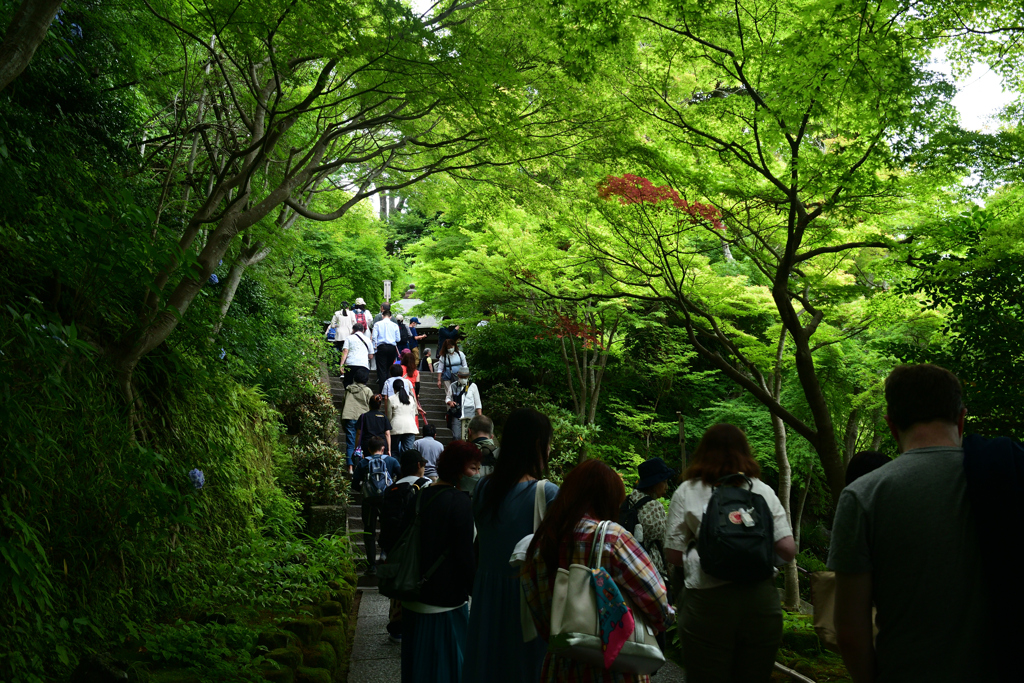 230622f長谷寺67