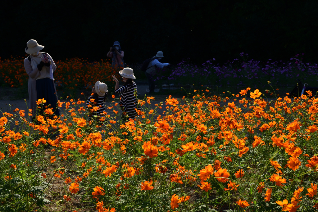 211015万博公園50