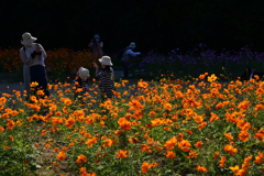 211015万博公園50