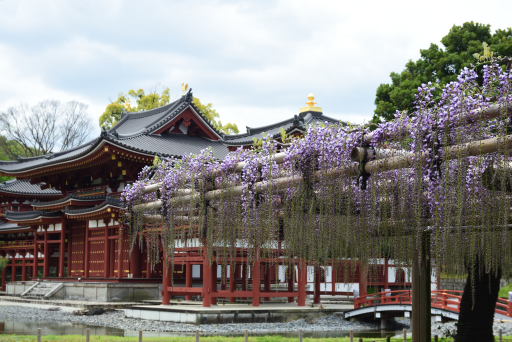 200422平等院13