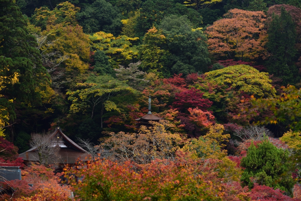 181114b談山神社73