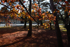 191220a京都御苑16